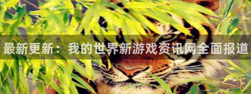 鼎点娱乐网页登录入口官网：最新更新：我的世界新游戏资讯网全面