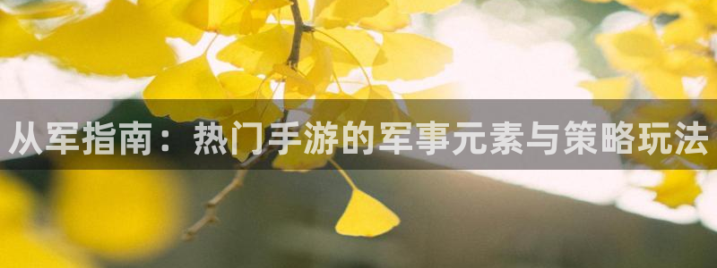 鼎点娱乐游戏：从军指南：热门手游的军事元素与策略玩法