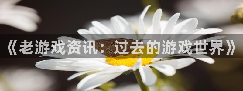 鼎点娱乐娱乐：《老游戏资讯：过去的游戏世界》