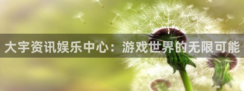 鼎点娱乐网页版地址