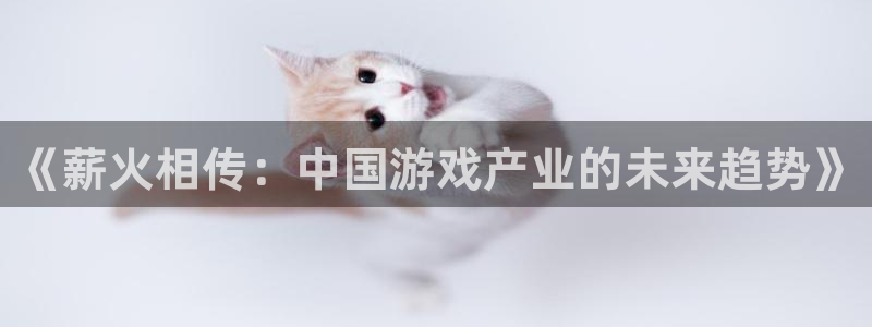 鼎点娱乐登陆测速：《薪火相传：中国游戏产业的未来趋势》
