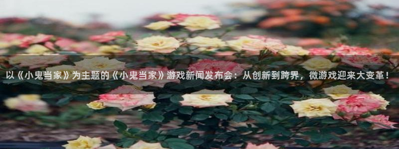 鼎点娱乐网页版地址：以《小鬼当家》为主题的《小鬼当家》游戏新