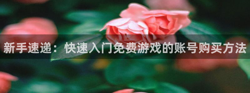 鼎点娱乐2首页登录：新手速递：快速入门免费游戏的账号购买方法