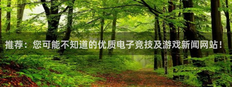 鼎点娱乐4招商：推荐：您可能不知道的优质电子竞技及游戏新闻网