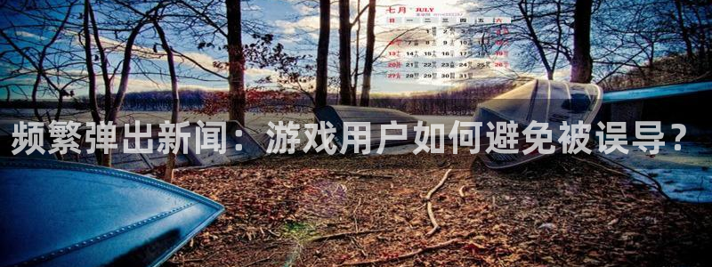 鼎点娱乐网页登录入口下载