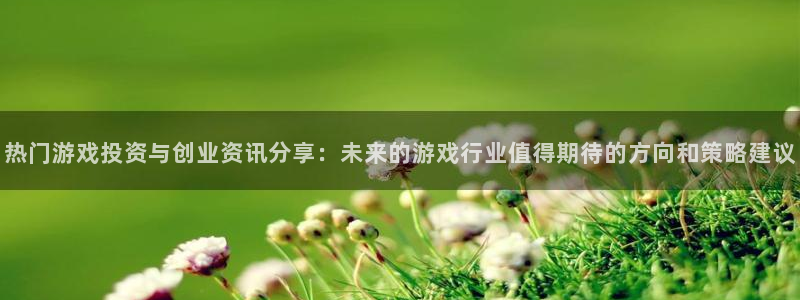 鼎点娱乐注册账号：热门游戏投资与创业资讯分享：未来的游戏行业