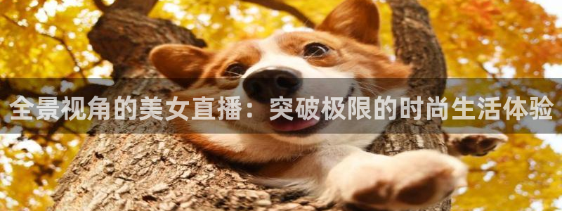 柠檬体育直播足球直播：全景视角的美女直播：突破极限的时尚生活体验