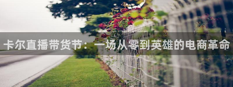 柠檬体育直播nba：卡尔直播带货节：一场从零到英雄的电商革命